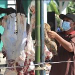 Tata Cara Kurban Sesuai Syariat Islam: Mengikuti Jejak Nabi Ibrahim AS