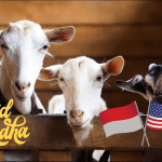 Jasa Kami: Membantu Warga Amerika dalam Qurban Idul Adha 2023 di Indonesia